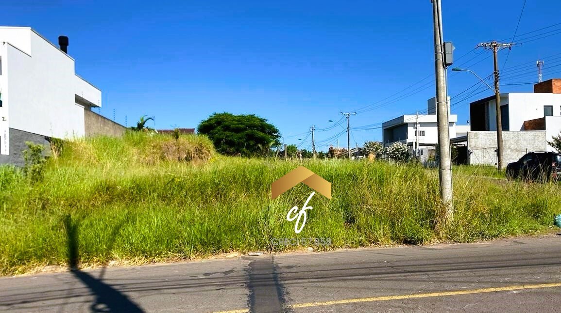 WhatsApp Image 2026-01-20 at 14.44.52