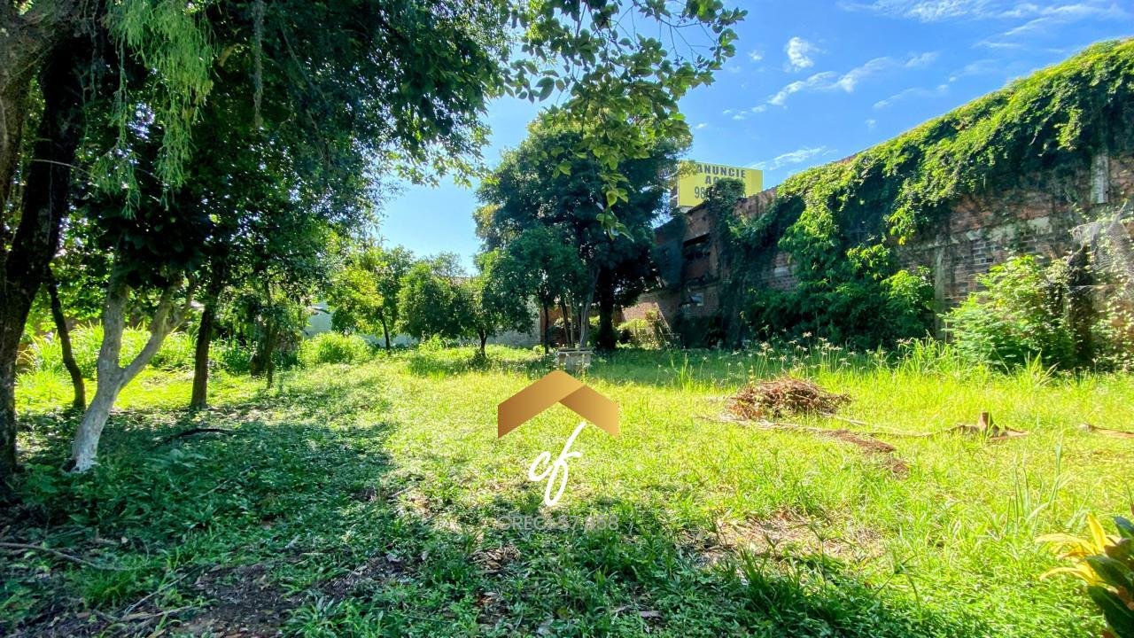 WhatsApp Image 2026-01-23 at 16.41.54 (1)