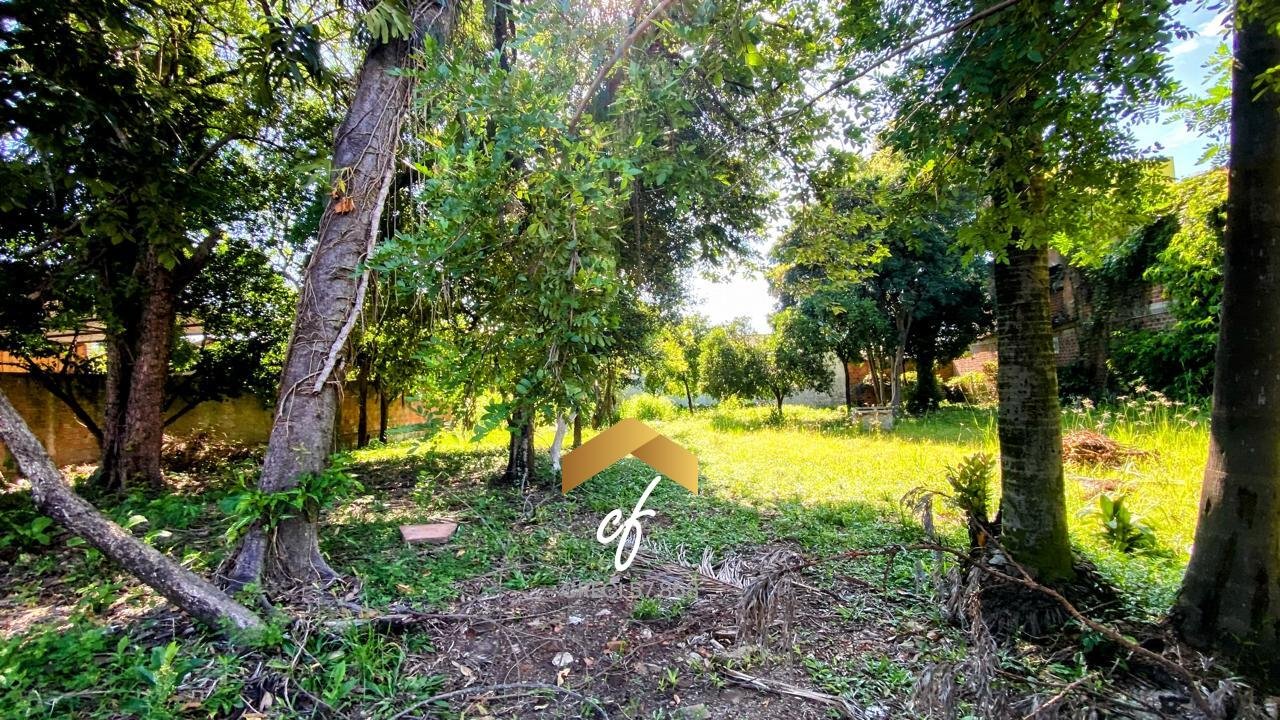 WhatsApp Image 2026-01-23 at 16.54.06 (4)