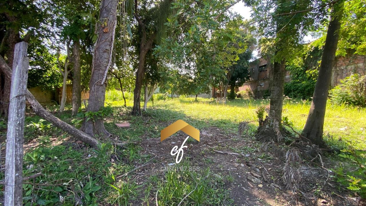 WhatsApp Image 2026-01-23 at 16.54.06